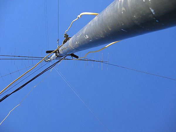 Click to see next picture